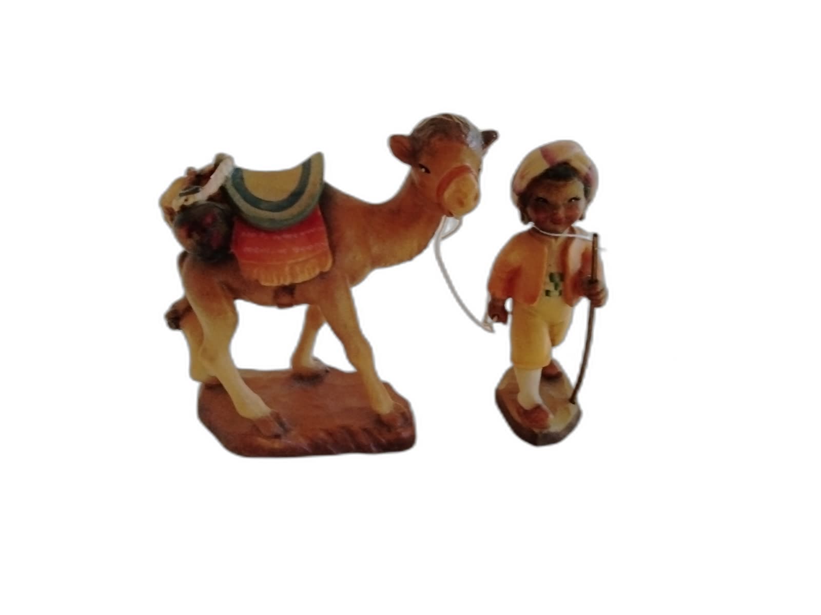 A-065 - Camel and Guide - Photo 1