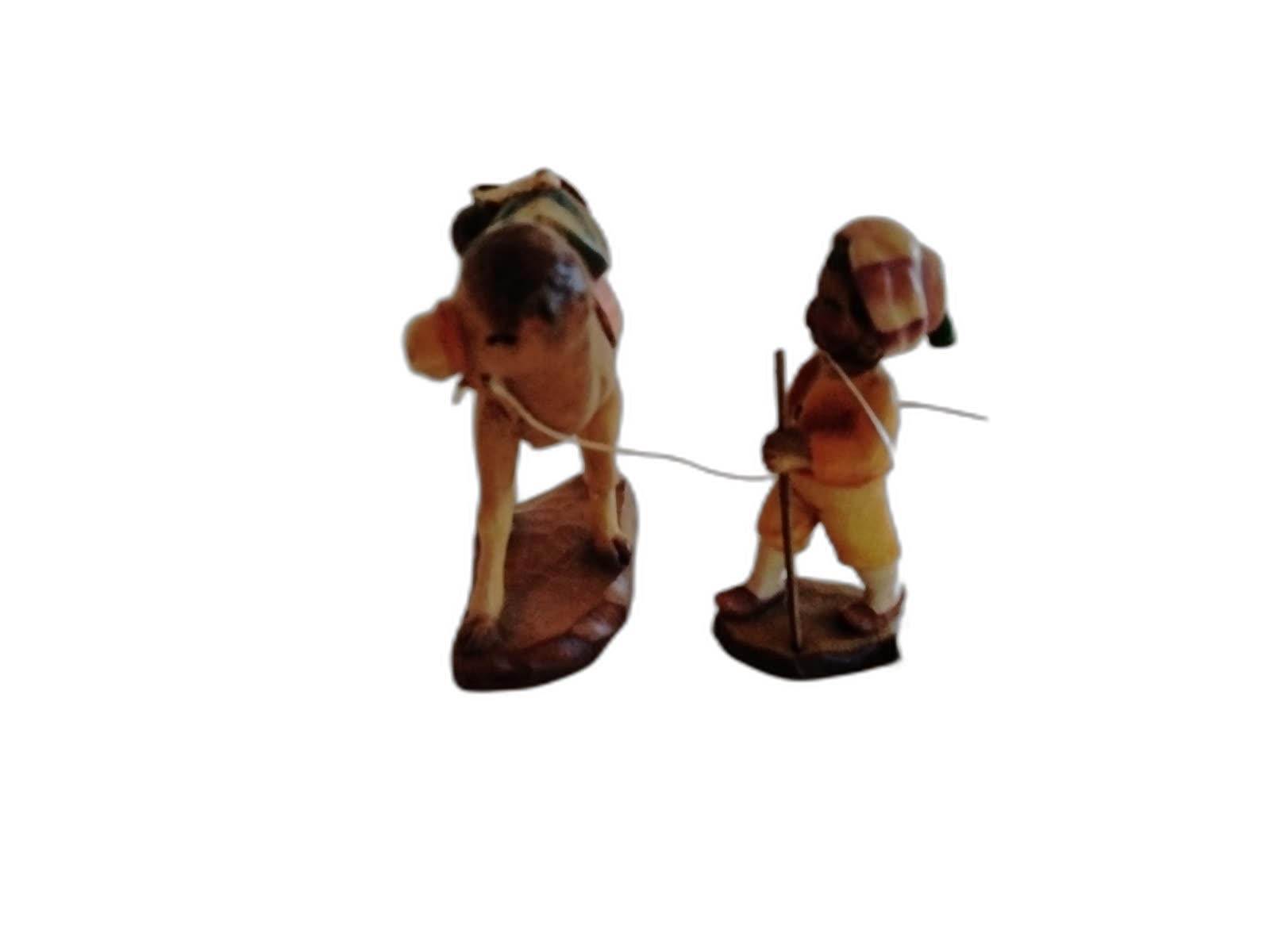 A-065 - Camel and Guide - Photo 2