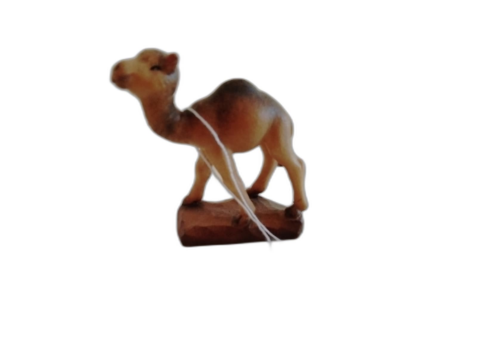 A-066 - Baby Camel - Photo 1