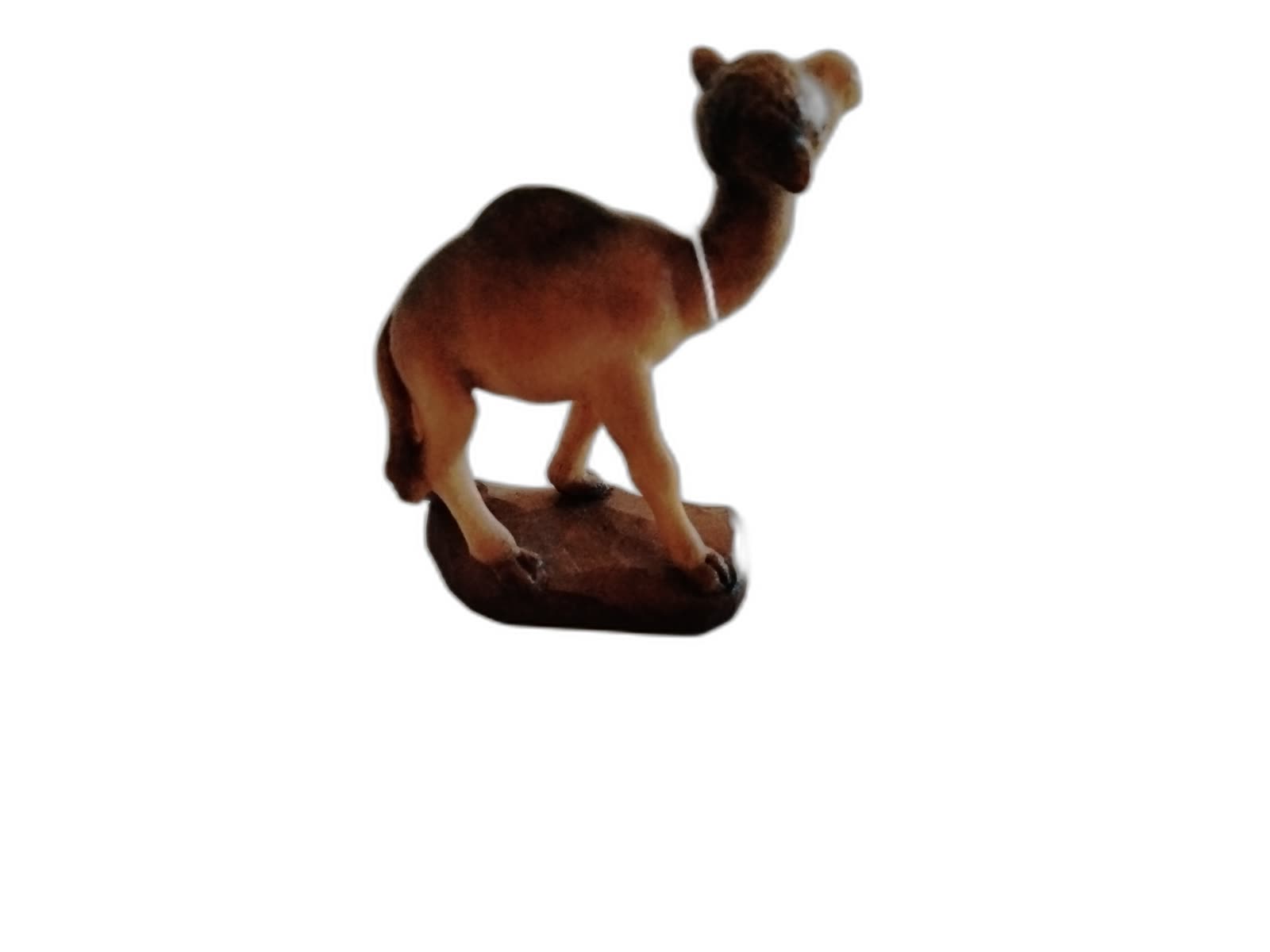 A-066 - Baby Camel - Photo 3