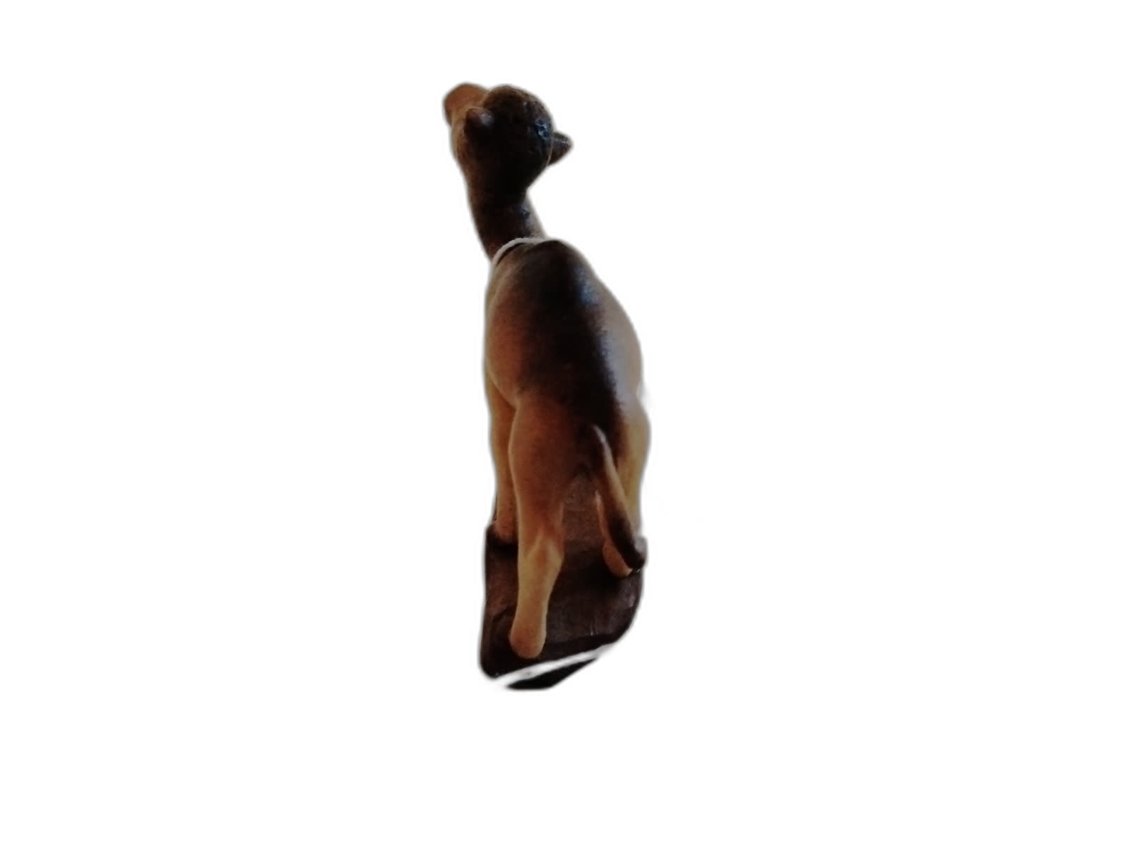 A-066 - Baby Camel - Photo 4