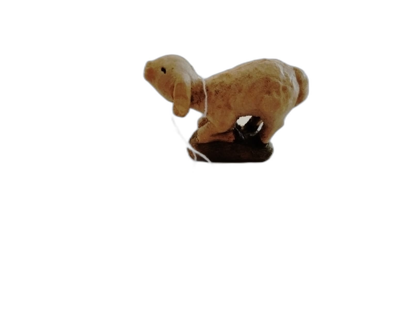 A-074 - Sheep Kneeling - Photo 2