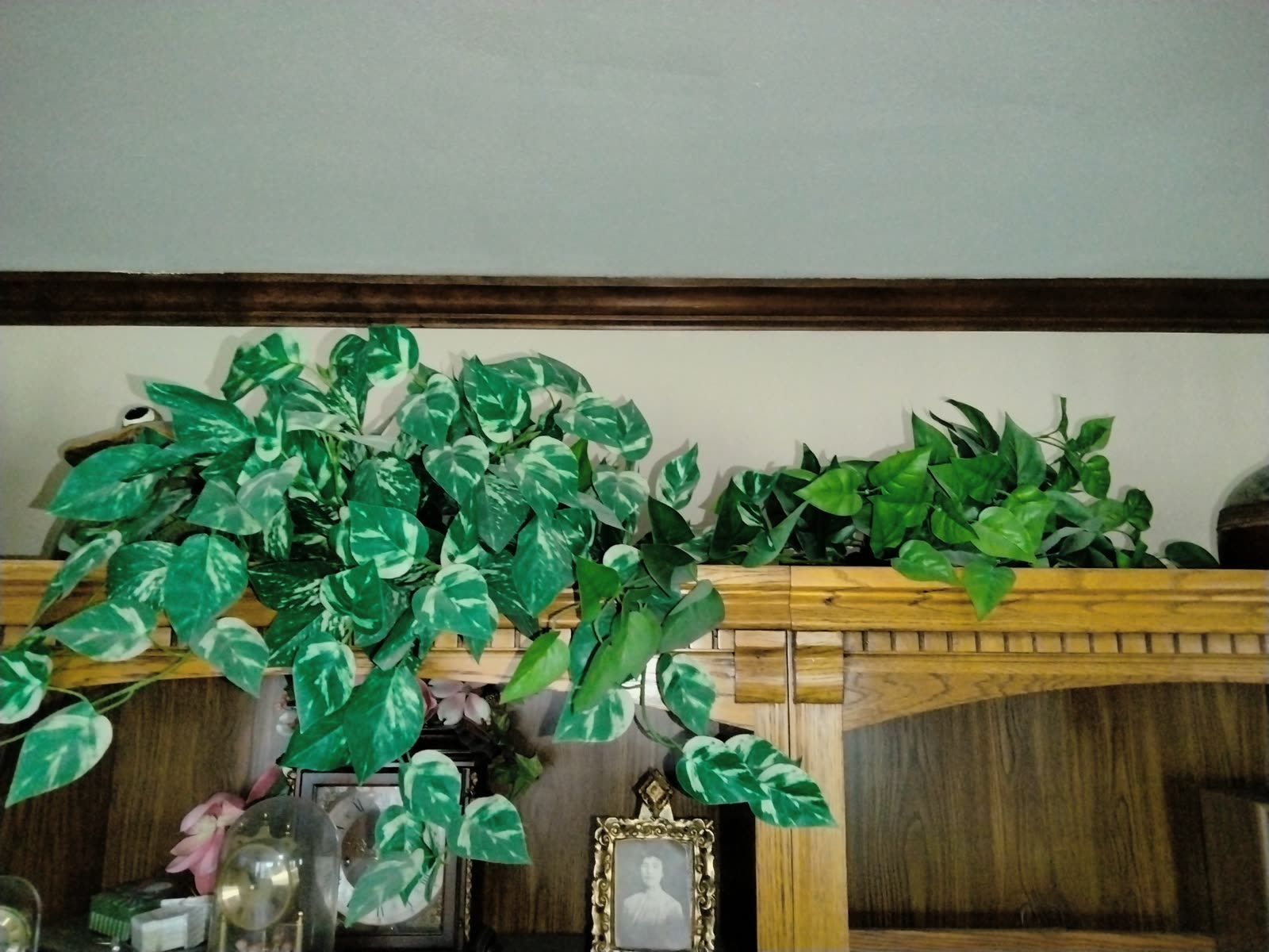 FL-017 Greenery Garland And Dried Floral Decor Lot image 3