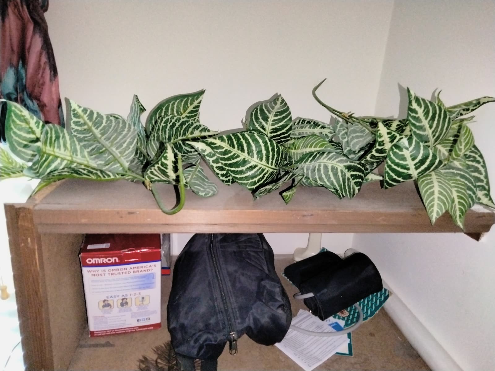 FL-026 Variegated Ivy Garland image 1