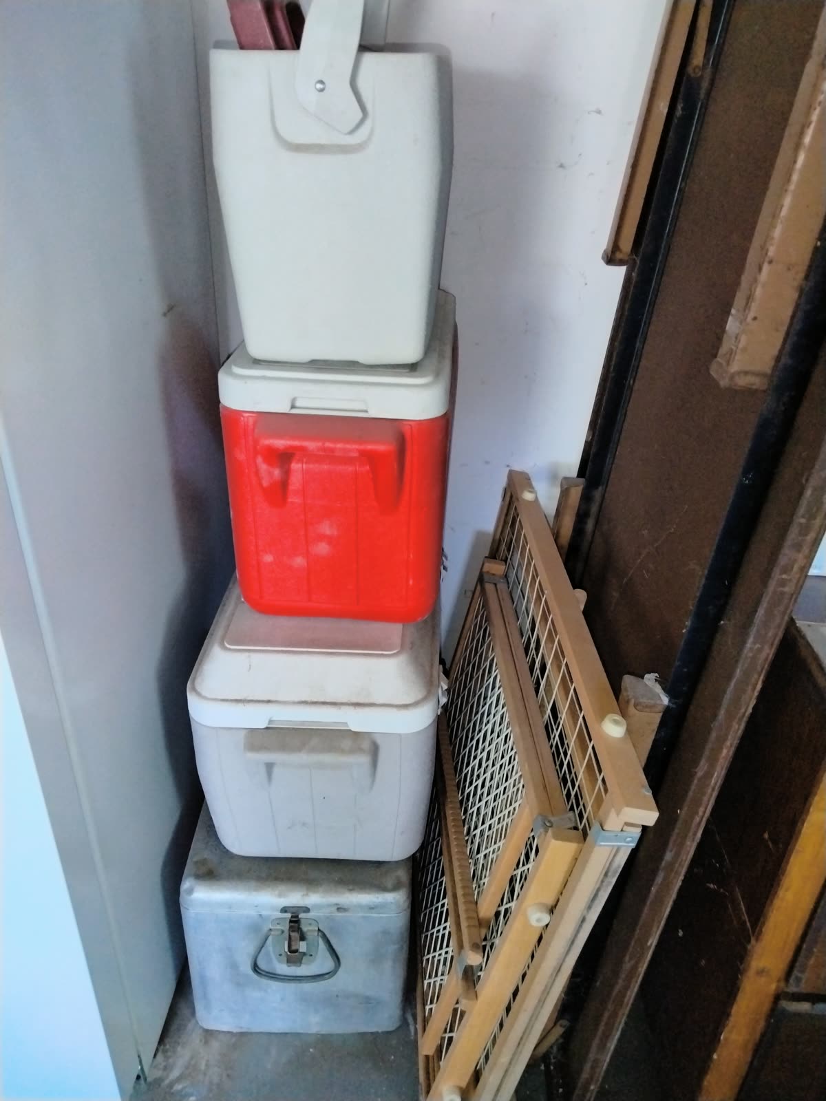 GA-009 Coolers And Storage Bin Lot image 1