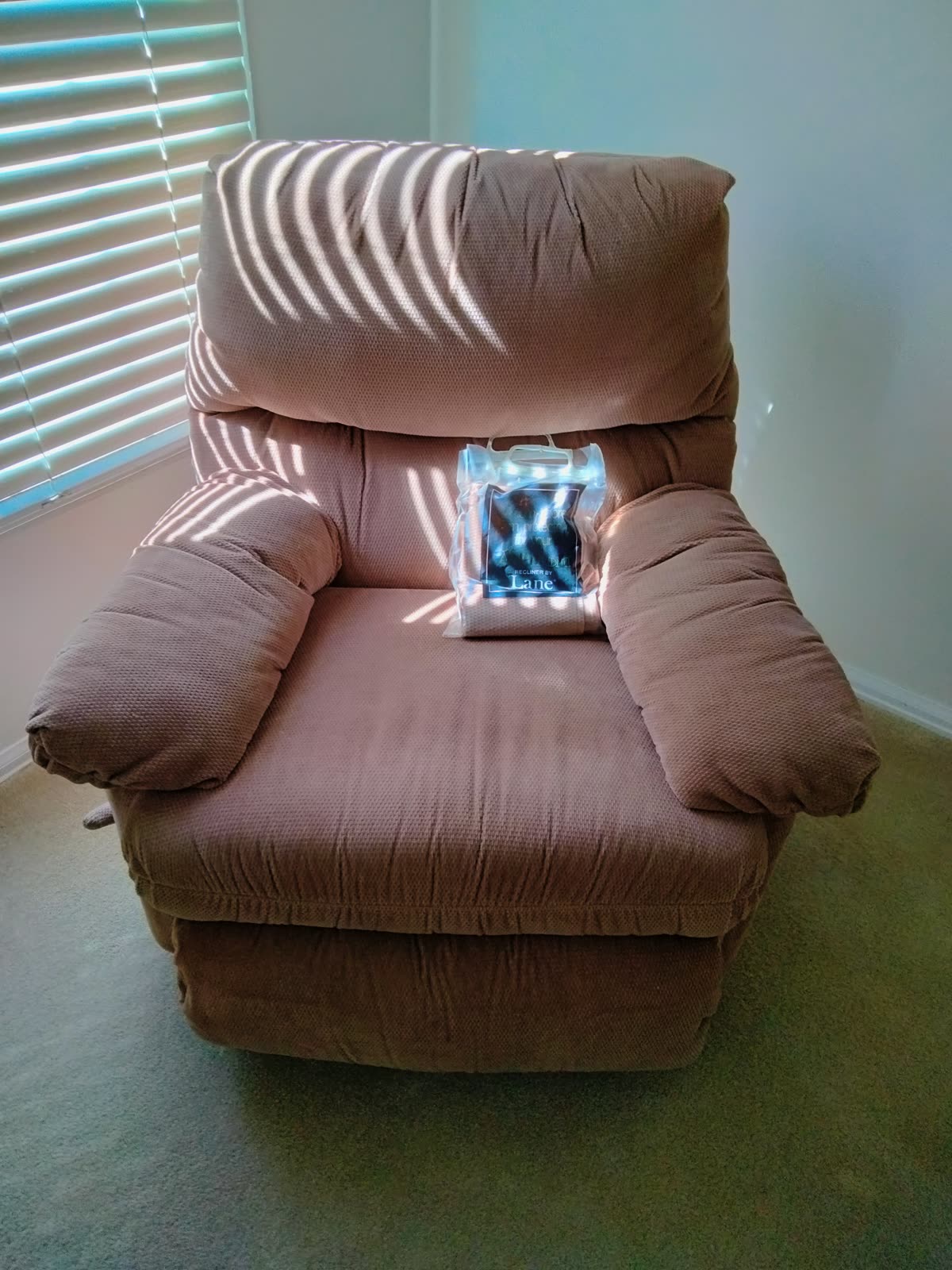 B1-007 LazyBoy Recliner image 1