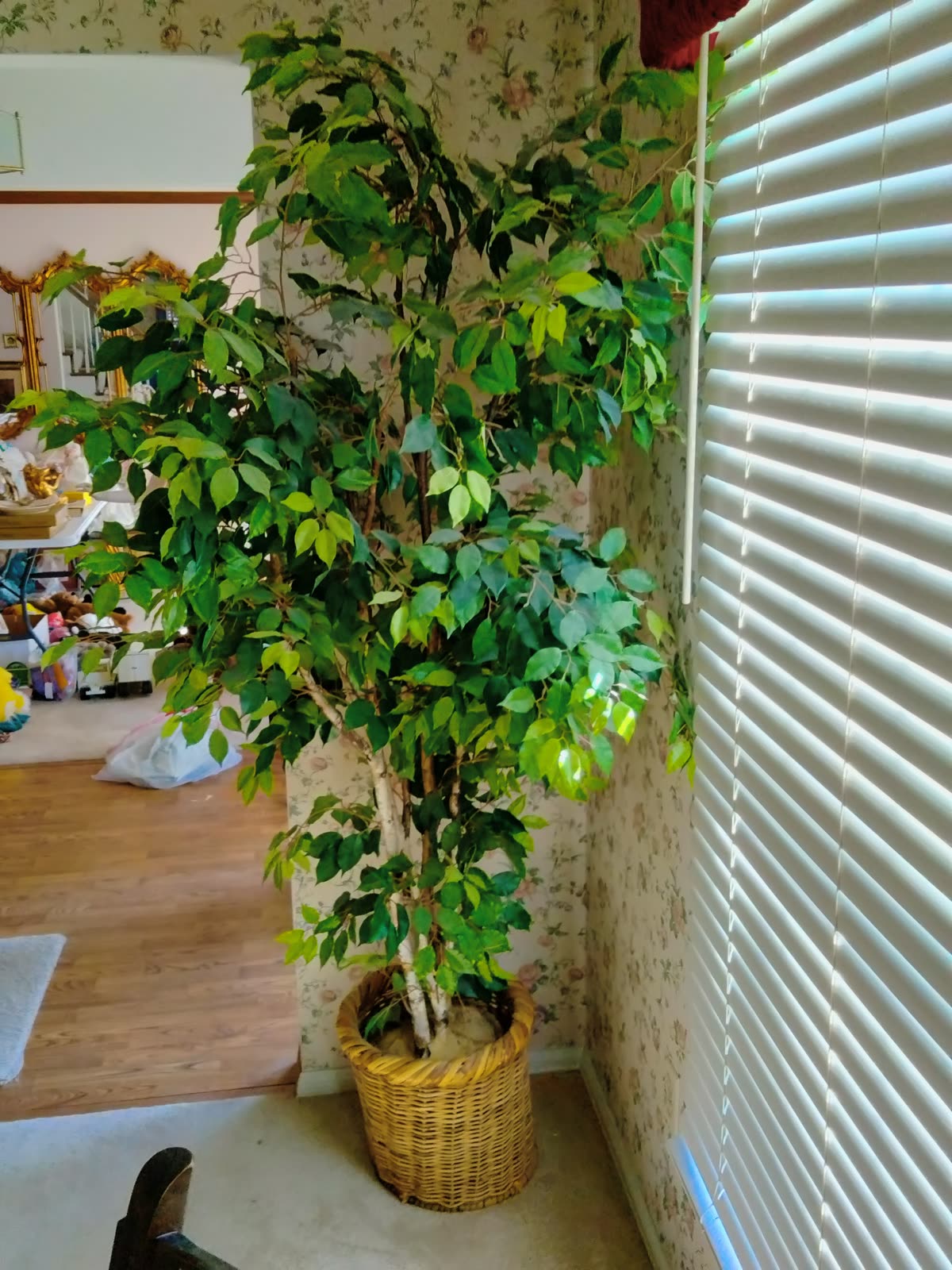 FL-020 Artificial Ficus Tree In Wicker Basket image 1